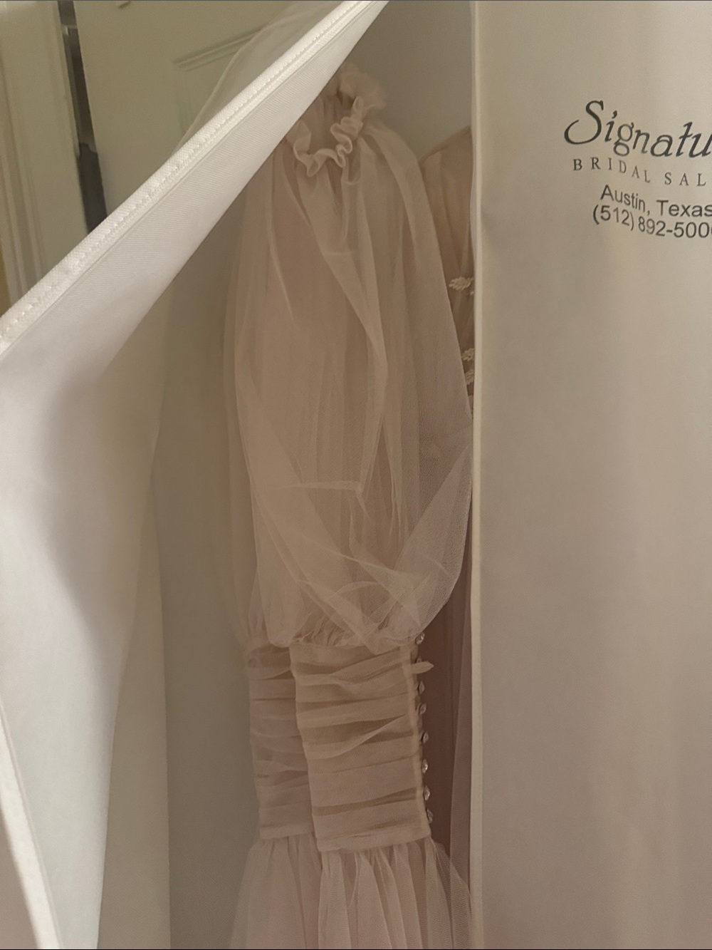 Sheer Off-Shoulder Tulle Gown in Champagne - Picture 8 of 10